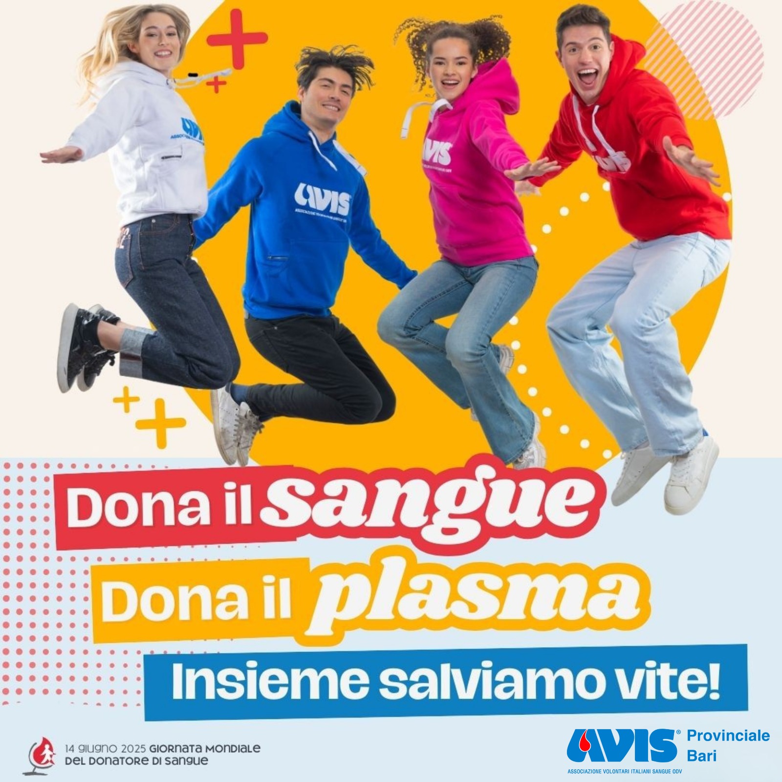 21ª Giornata Internazionale del Donatore di Sangue – Sabato 14 giugno 2025